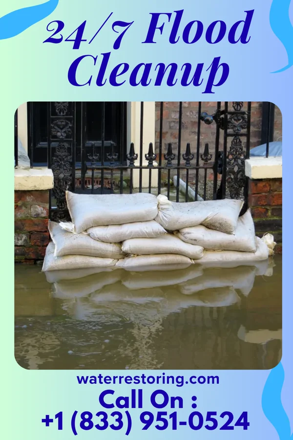 24/7 Flood Cleanup in Shevlin, MN