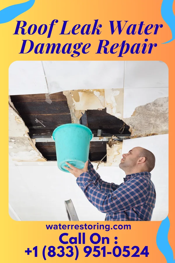 Roof Leak Water Damage Repair in Shevlin, MN